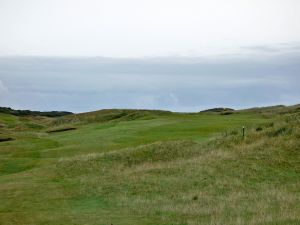 Royal Aberdeen 9th Fescue